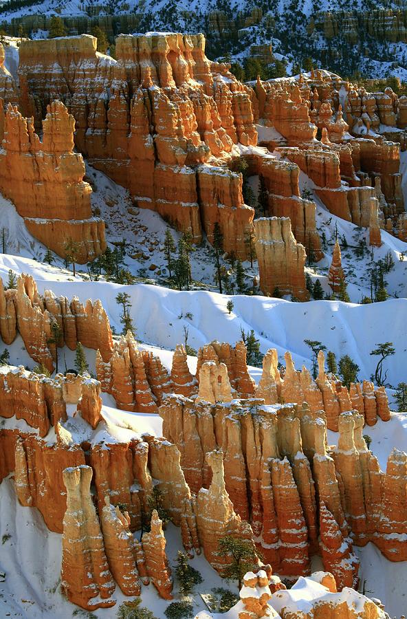 Bryce Canyon In Winter Photograph by Imaginegolf