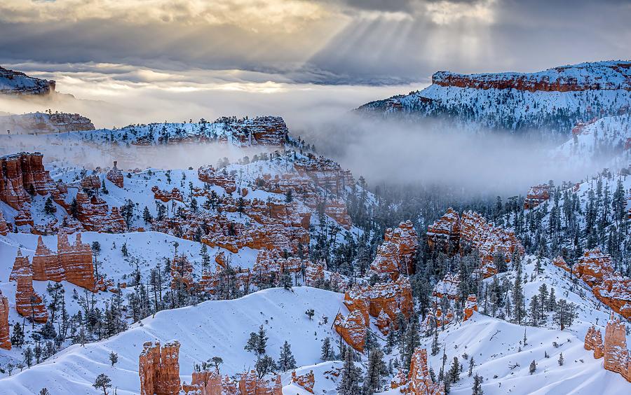 Bryce Canyon In Winter Photograph by Ning Lin