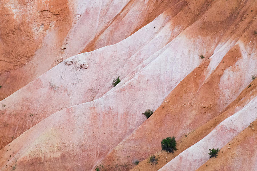Bryce Canyon Photograph by Joe Kopp