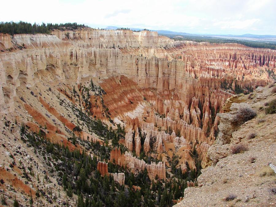 Bryce Canyon Photograph by Joy Ride By Taylor