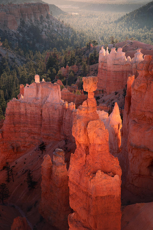 Landscape Photograph - Bryce Canyon by Karol Nienartowicz
