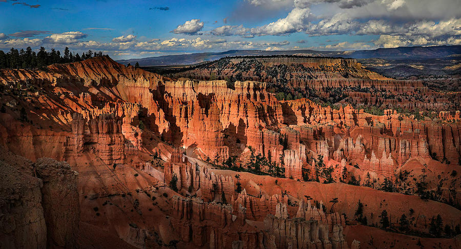 Bryce Canyon Photograph by Kenneth Zeng