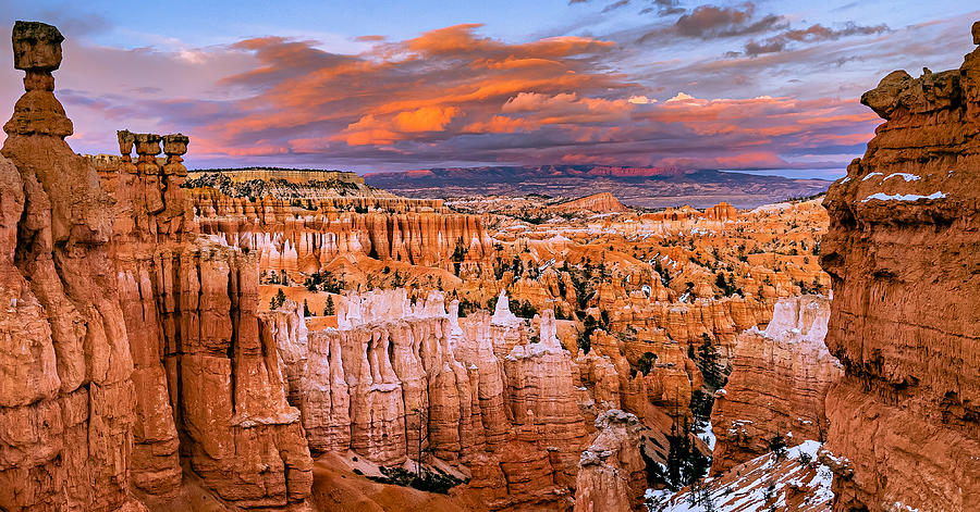 Bryce Canyon Photograph by Lucy Yu