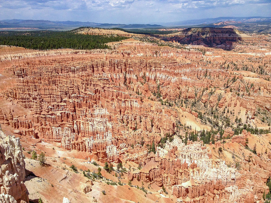Bryce Canyon Photograph by Mark Duehmig