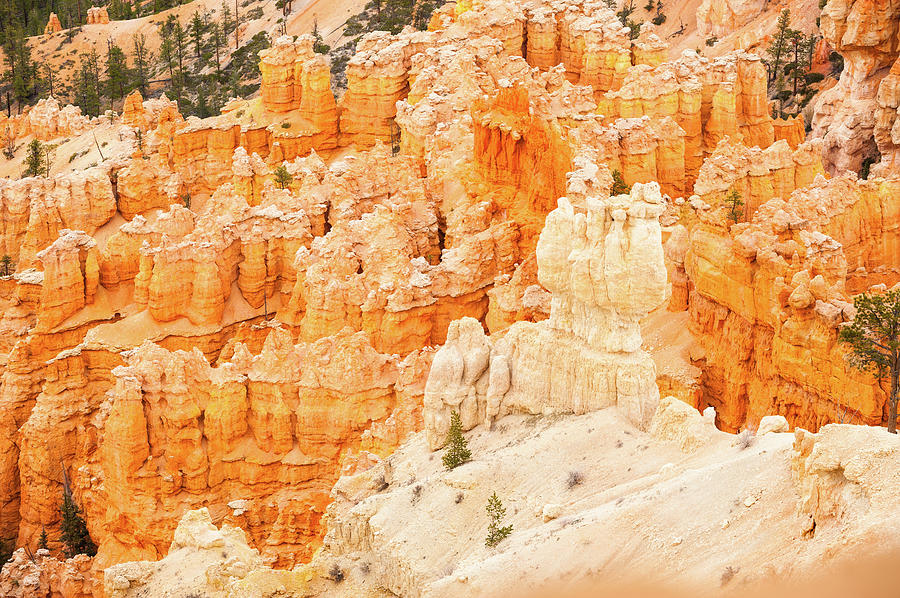 Bryce Canyon Photograph by Mmac72