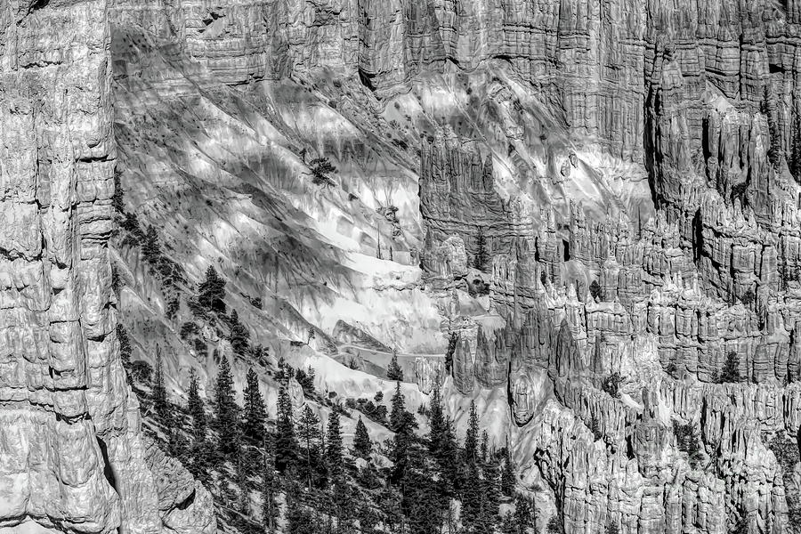 Bryce Canyon National Park Photograph - Bryce Canyon National Park BW by Chuck Kuhn