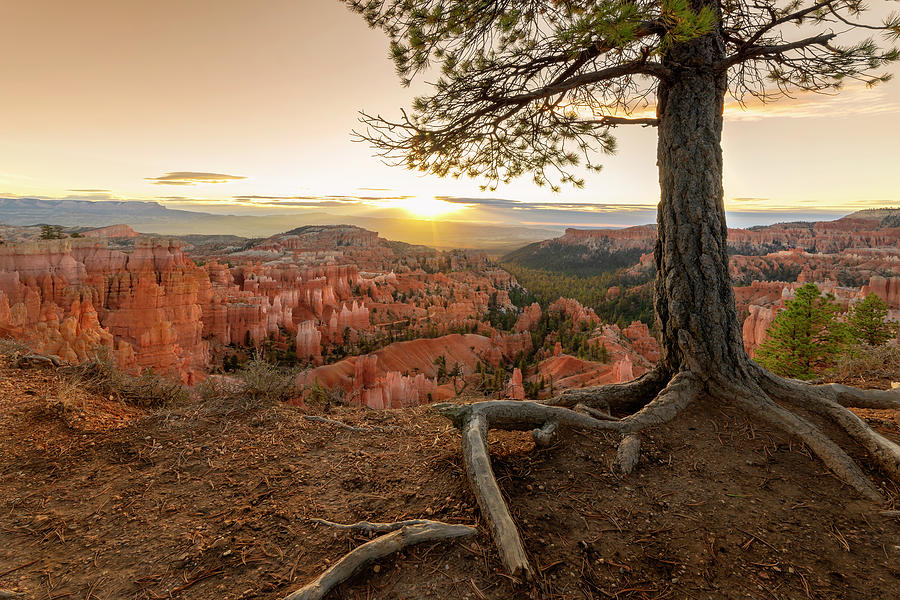 Landscape Photograph - Bryce Canyon National Park Sunrise 7 - Utah by Brian Harig