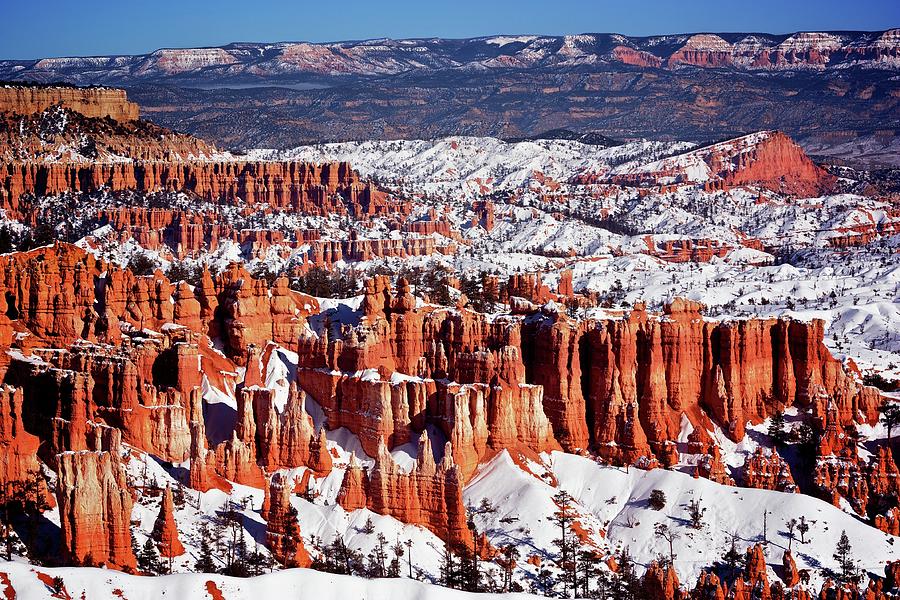 Bryce Canyon National Park Photograph by Tony Mignot.