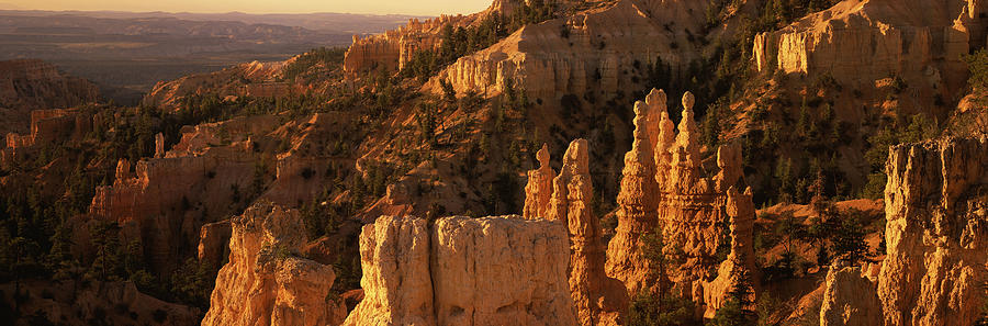 Bryce Canyon National Park, Utah Photograph by Morey Milbradt