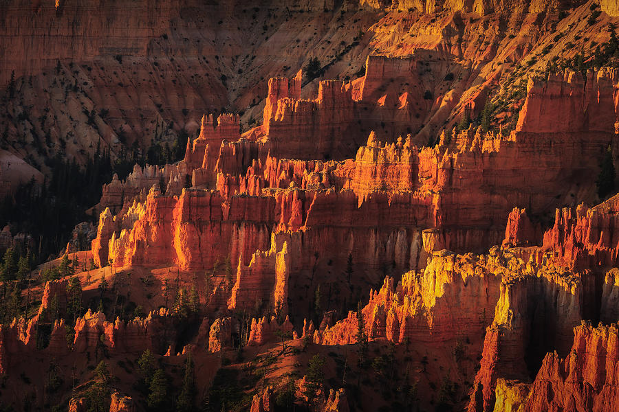 Landscape Photograph - Bryce Canyon National Park by Yimei Sun