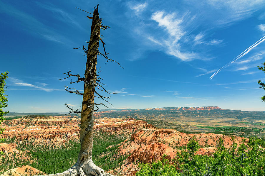 Bryce Canyon NP - Bryce Point Photograph by ProPeak Photography