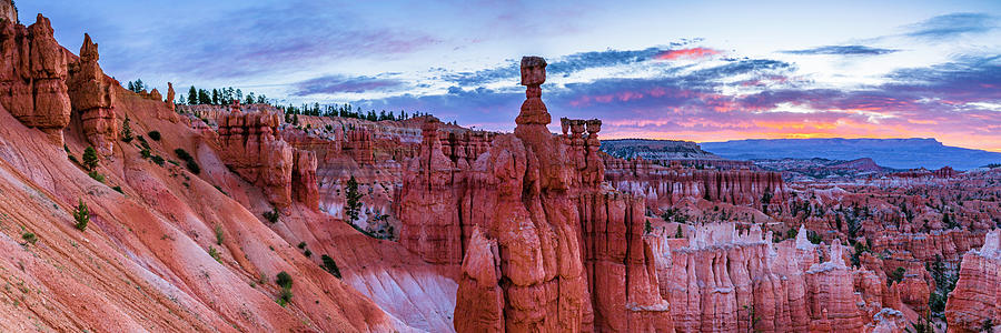 Bryce Canyon NP - Helluva Place to Lose a Cow Photograph by ProPeak Photography