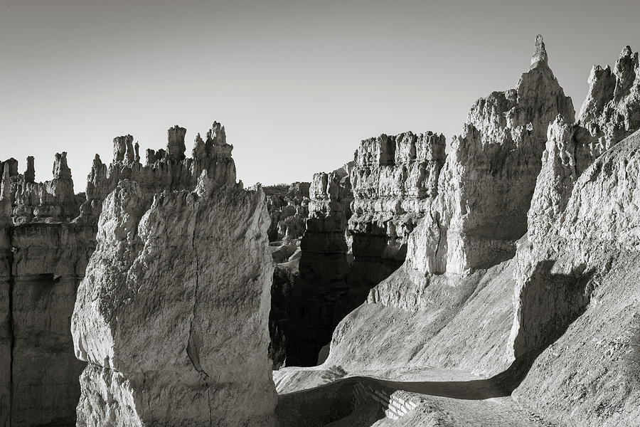 Bryce Canyon NP IX BW Photograph by David Gordon