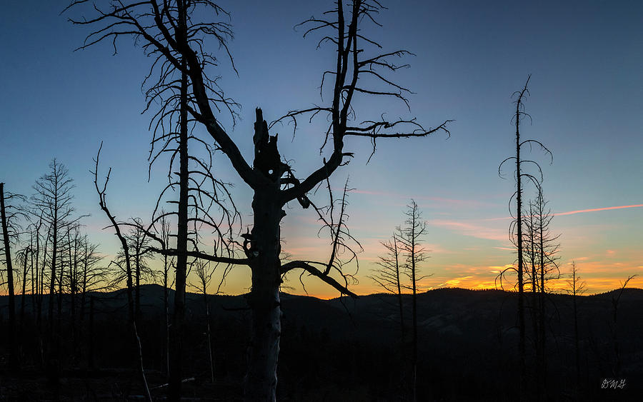 Nature Photograph - Bryce Canyon NP IX Sunset Color by David Gordon