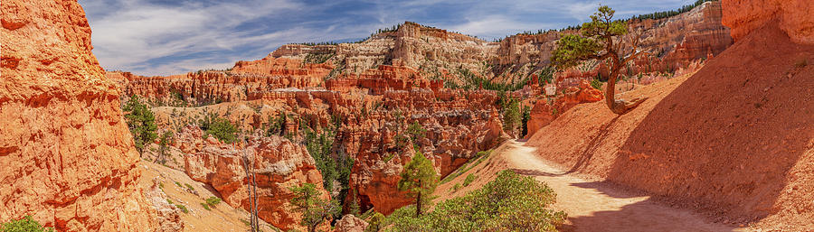 Bryce Canyon NP - Peek-A-Boo Canyon Photograph by ProPeak Photography