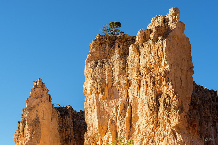 Bryce Canyon NP VIII Color Photograph by David Gordon
