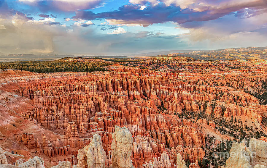 Bryce Canyon overlook Photograph by Clicking With Nature - Fine Art America