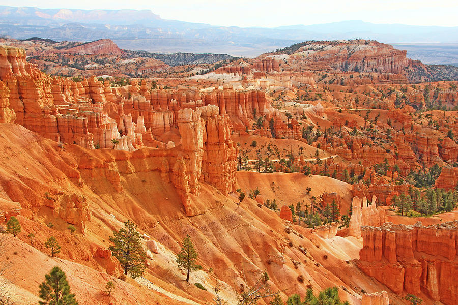 Bryce Canyon red rock hoodoos trees mountains 6545 Photograph by David Frederick