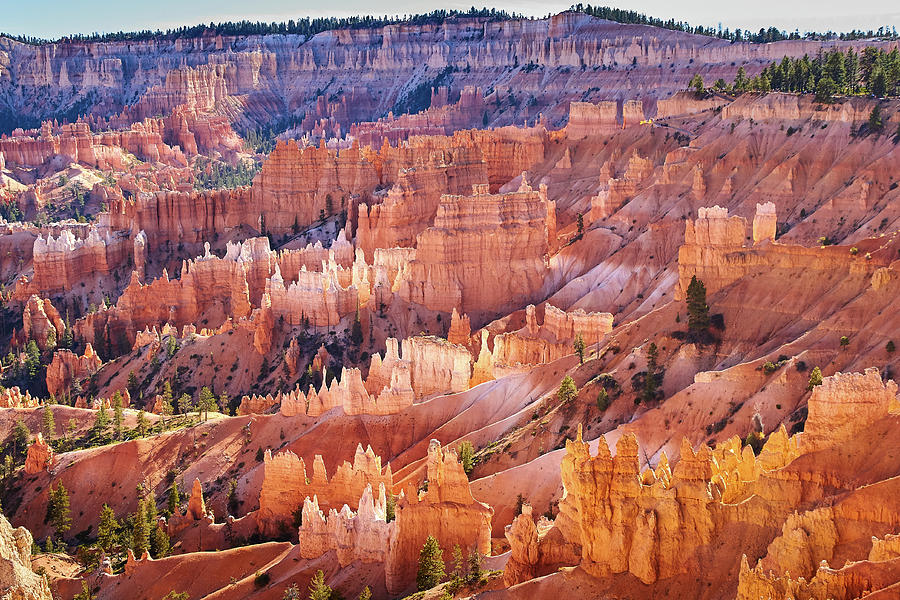Bryce Canyon by Steve Kaye Bryce Canyon by Steve Kaye