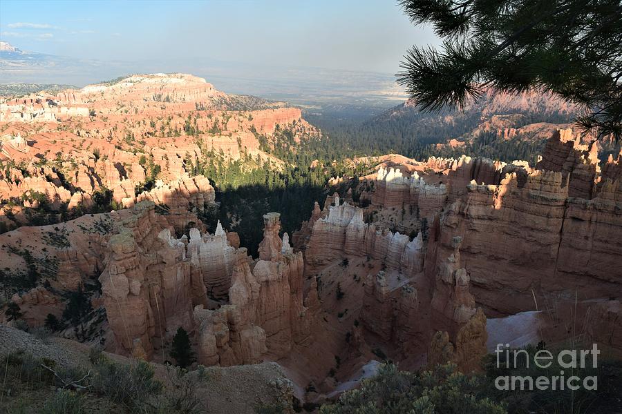 Bryce Canyon Sunset Photograph by Leslie M Browning