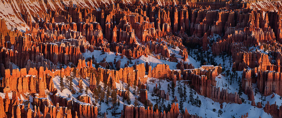 Bryce Canyon, Utah Photograph by Dave Wilson