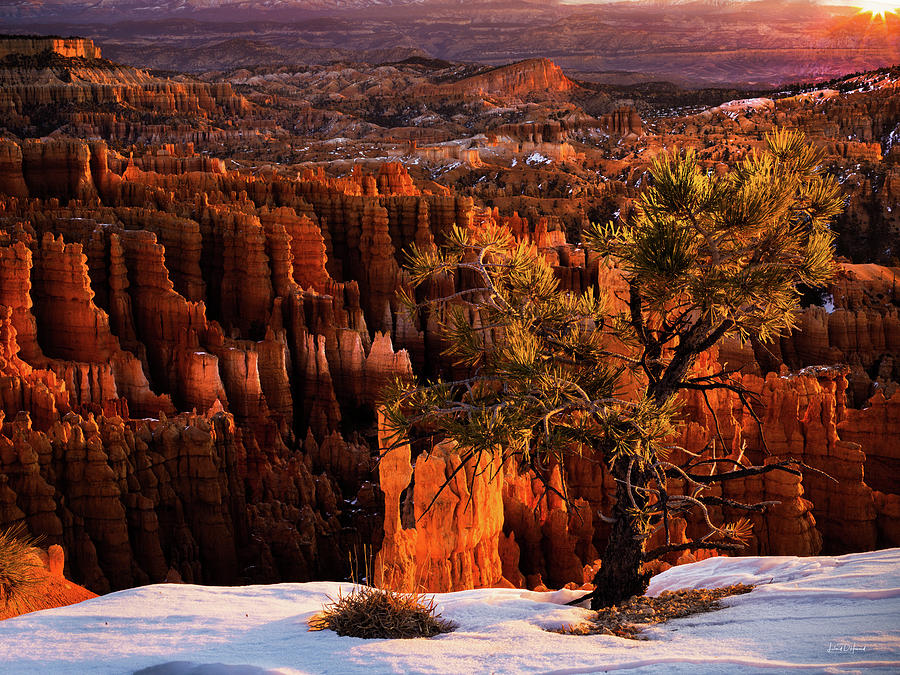 Bryce Canyon Winter Sunrise Photograph by Leland D Howard