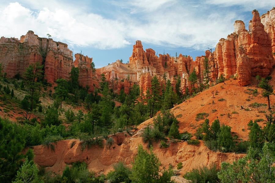 Bryce Canyon Photograph by Wsfurlan