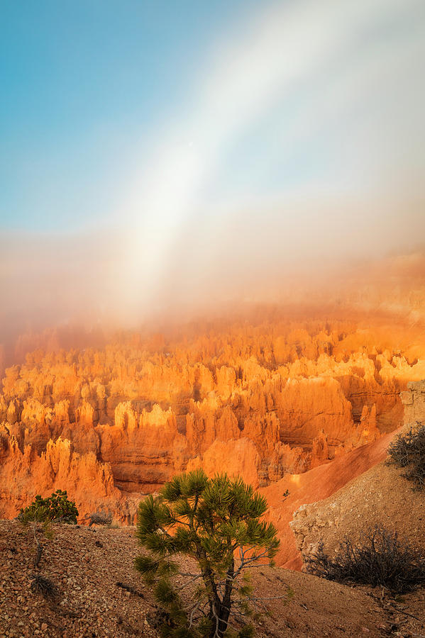 Unique Photograph - Bryce Fogbow by Wasatch Light