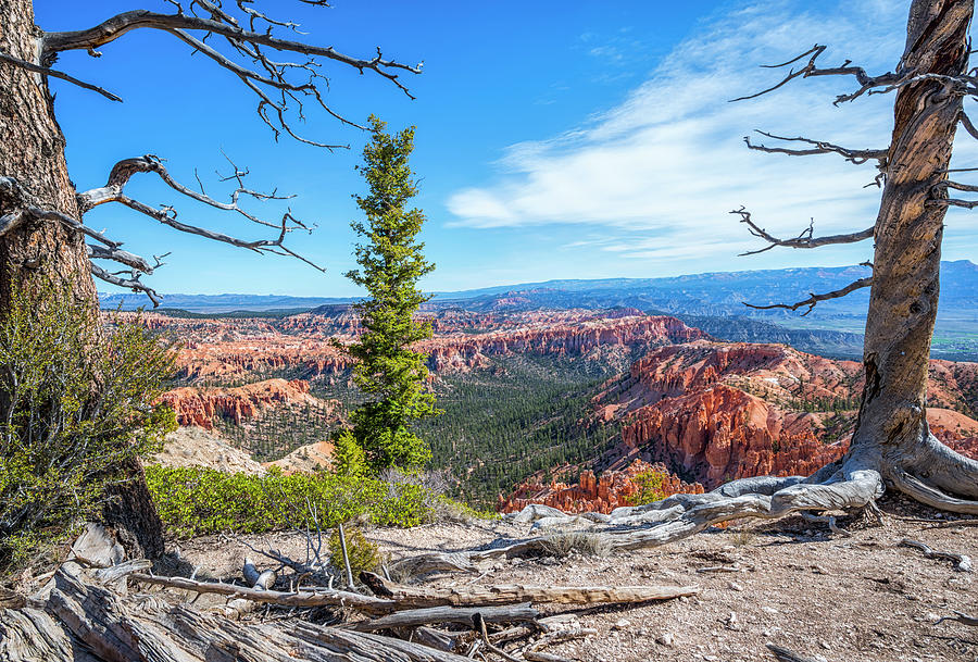 Bryce Point Beauty by Joseph S Giacalone Bryce Point Beauty by Joseph S Giacalone