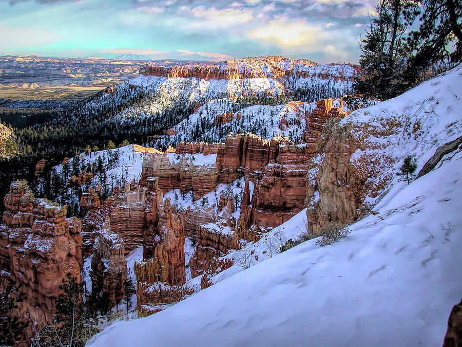 Bryce View by PAUL COCO Bryce View by PAUL COCO