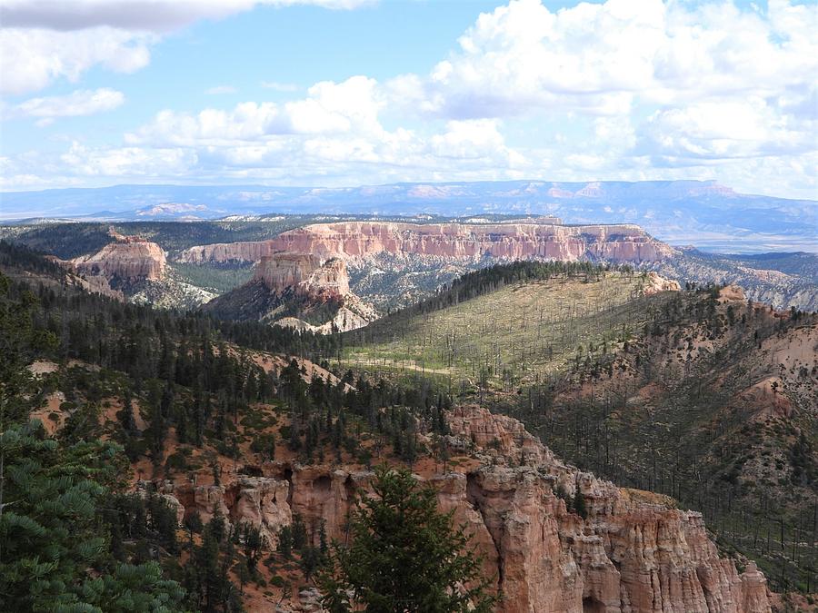 bryce view