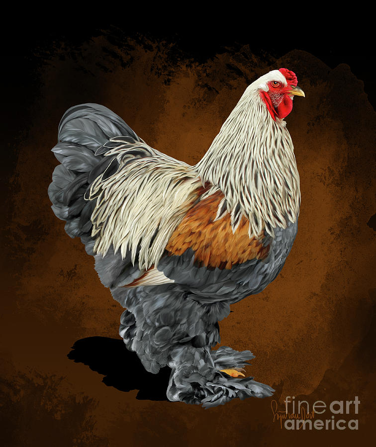 Brahma Digital Art - BSO Brahma by Sigrid Van Dort Brahma Digital Art - BSO Brahma by Sigrid Van Dort