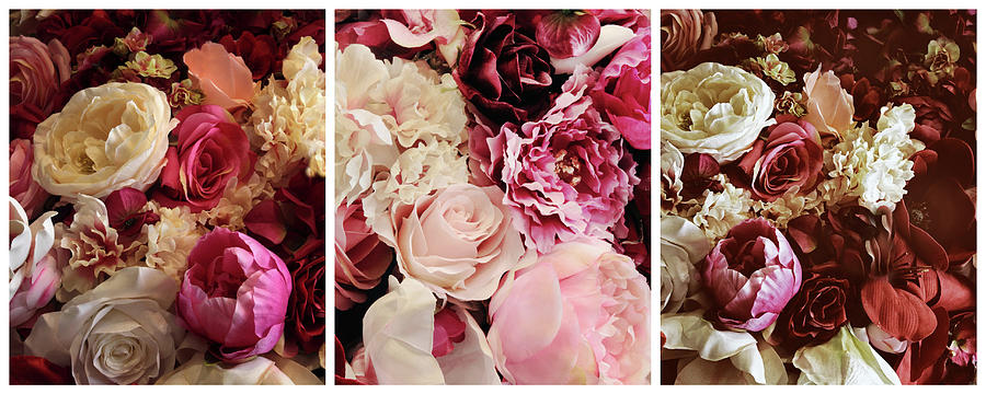 Rose Collage Triptych Photograph by Jessica Jenney