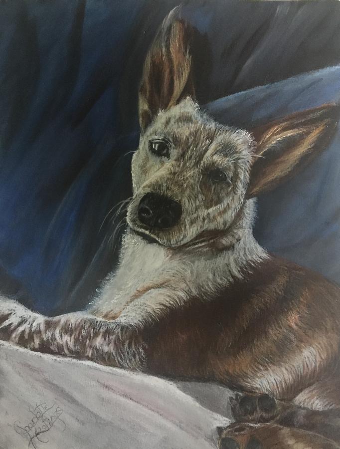 Buba Moose Painting by Charlotte Hastings