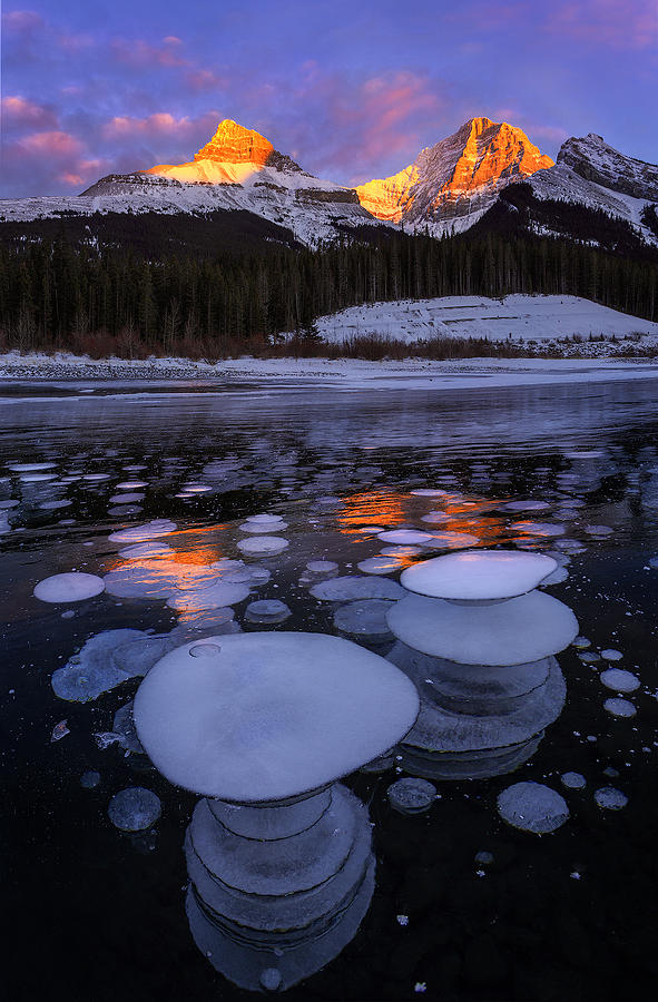 Banff National Park Photograph - Bubble Kingdom by Xiaohua Hu