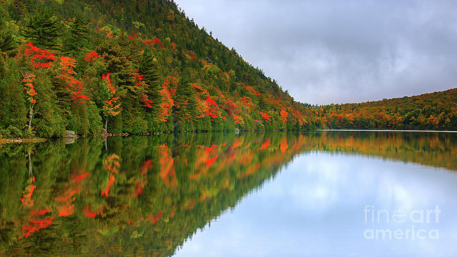 Bubble Pond in Acadia National Park Photograph by Henk Meijer Photography