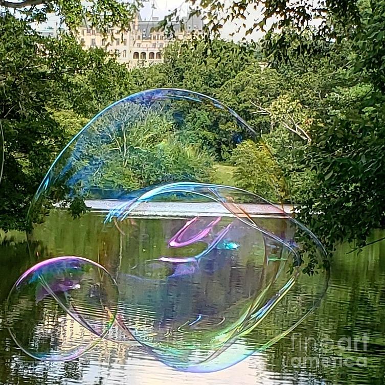 Bubbles at Biltmore  Photograph by Anita Adams