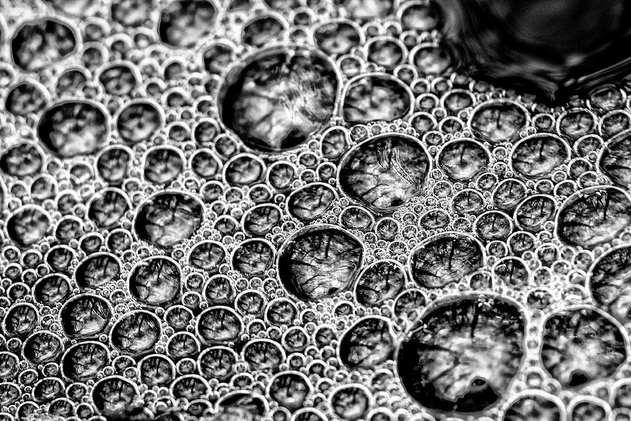 Bubbles Photograph by Dawn J Benko