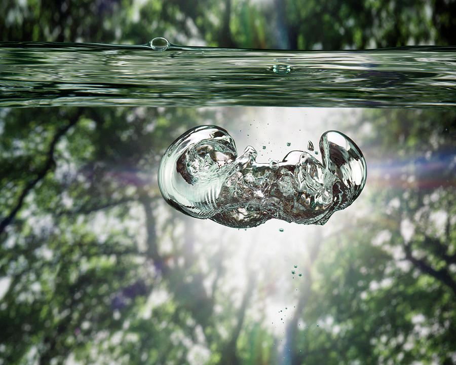Bubbles Underwater View, Trees In Photograph by Jonathan Knowles