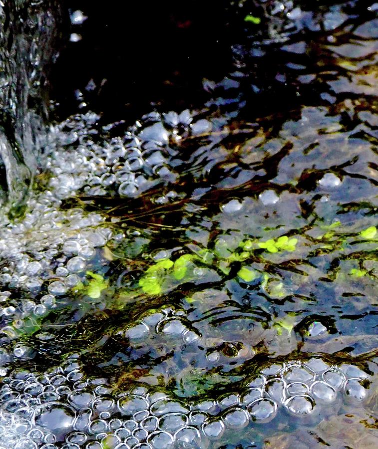 Bubbling Brook Photograph by Alida M Haslett