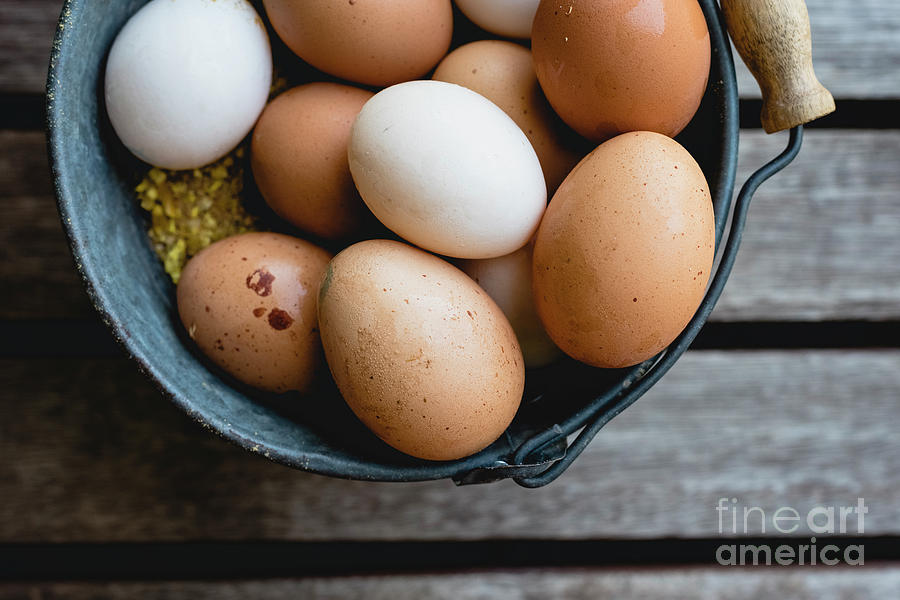 Bucket full of white and brown chicken eggs. Photograph by Joaquin Corbalan