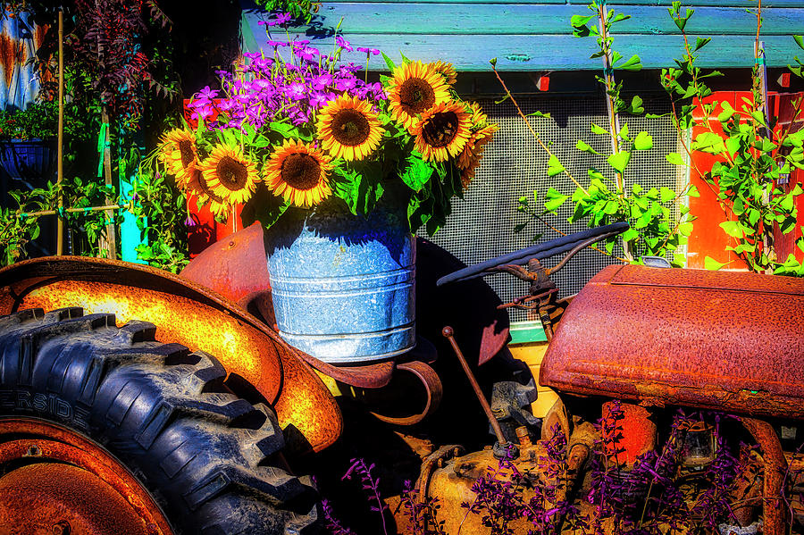 Bucket Of Sunflowers On Old Tractor Seat Photograph by Garry Gay