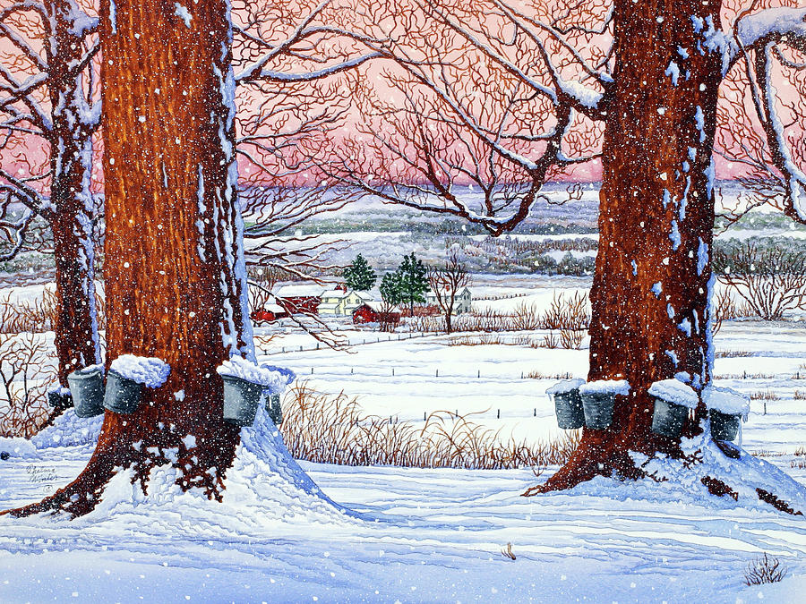 Buckets Of Snow Painting by Thelma Winter