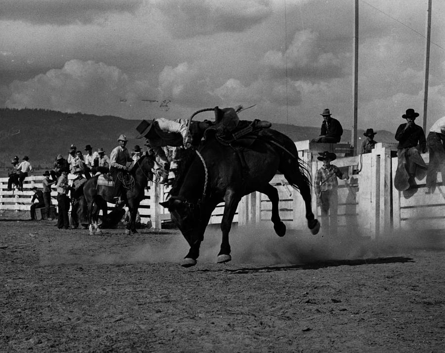 Bucking Bronco Photograph by Ernie Mack