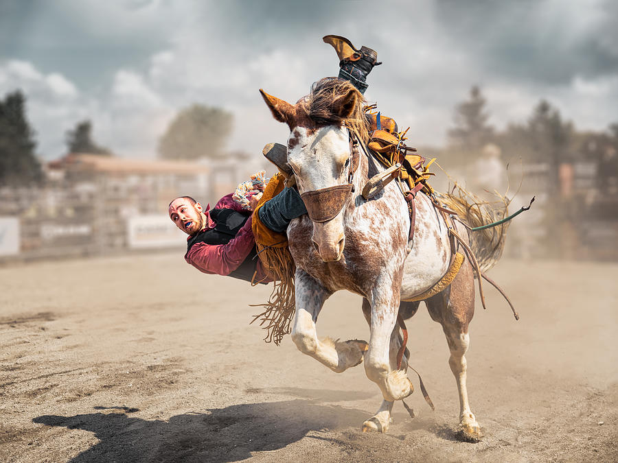 Horse Photograph - Bucking Horse by Steven Zhou