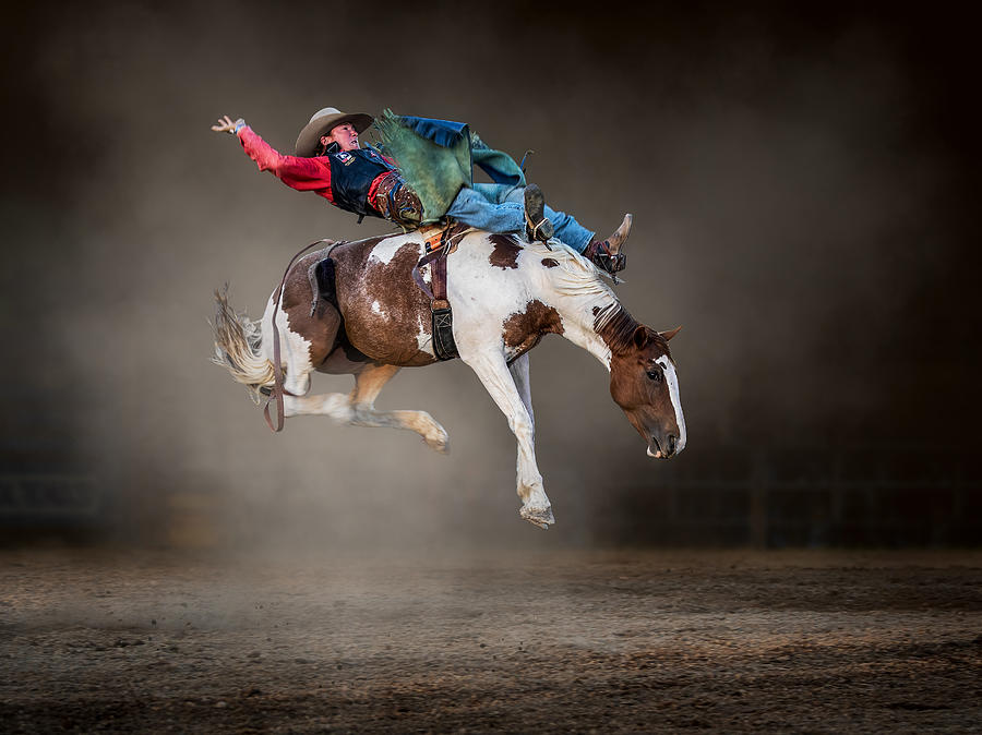 Sports Photograph - Buckjumping by Frank Ma