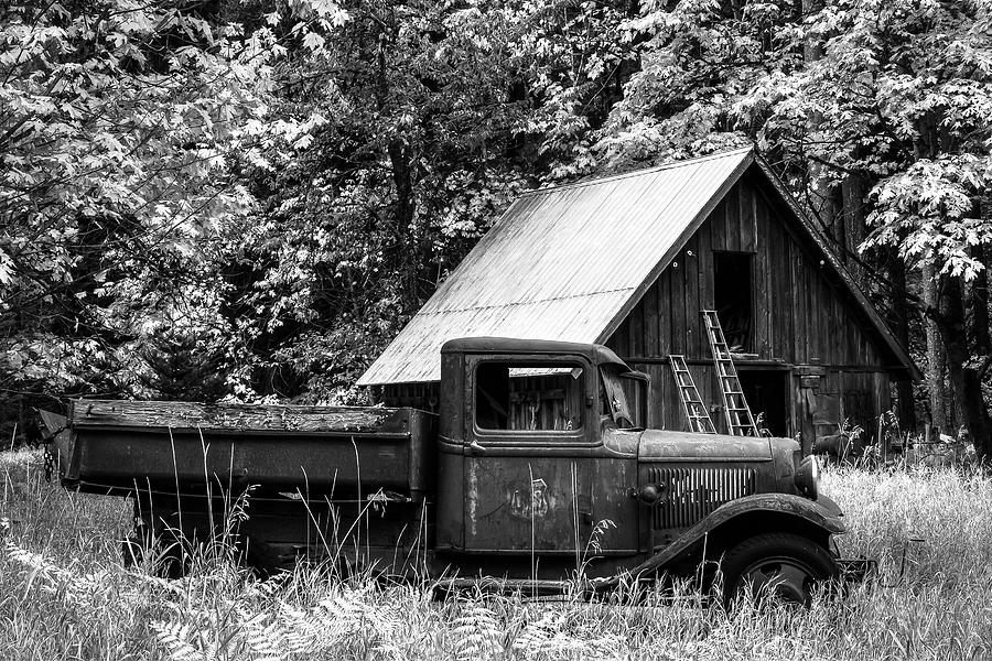 Buckner Orchard in Black and White Photograph by Mark Kiver