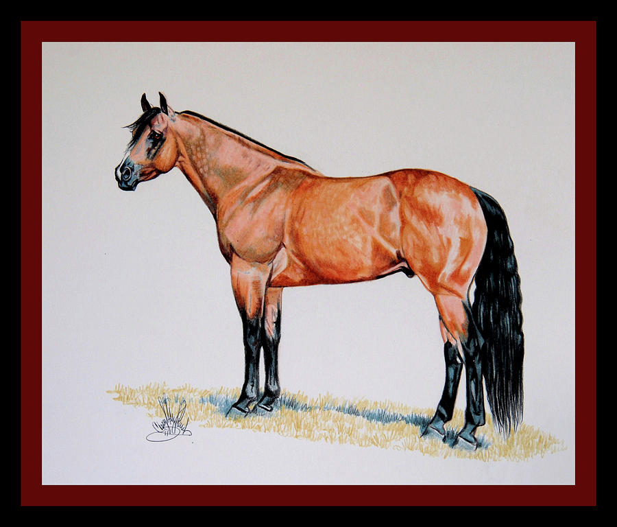 Horse Drawing - Buckskin Beauty by Cheryl Poland