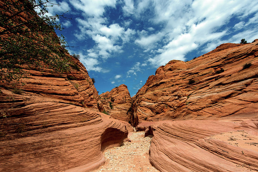 Buckskin Canyon Photograph by Brian Baril Photography - Pixels