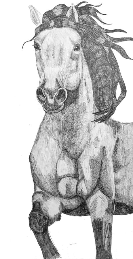 Buckskin horse portrait Drawing by Equus Artisan